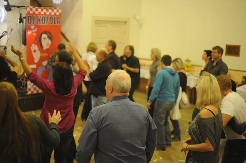 sdh galerie veza 40let hamry 2012