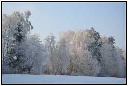 zima 2013
