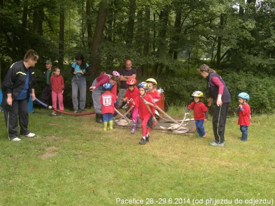 sou pacerice-II 2014