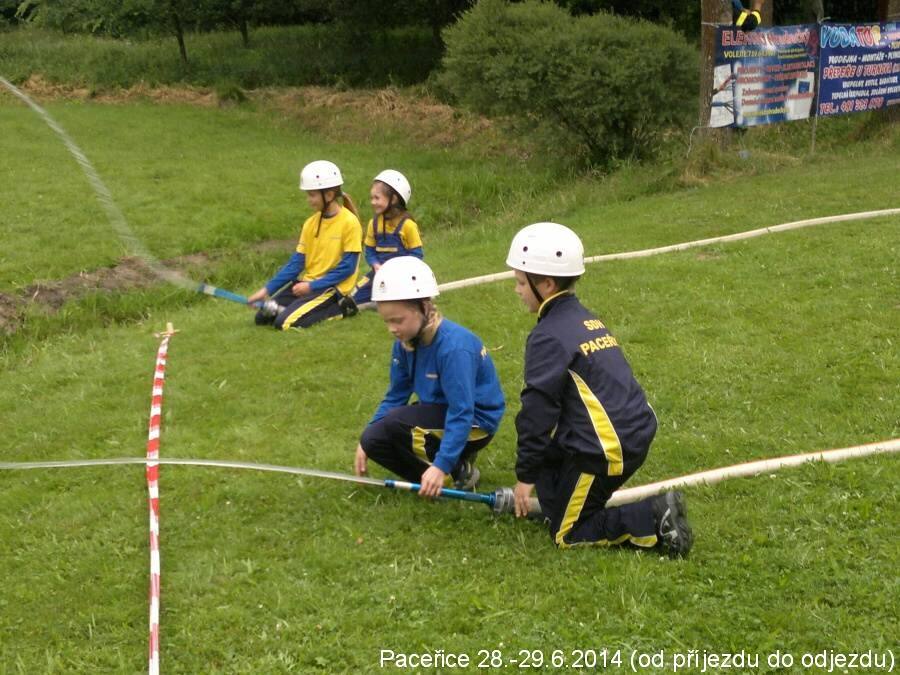 sou pacerice-II 2014
