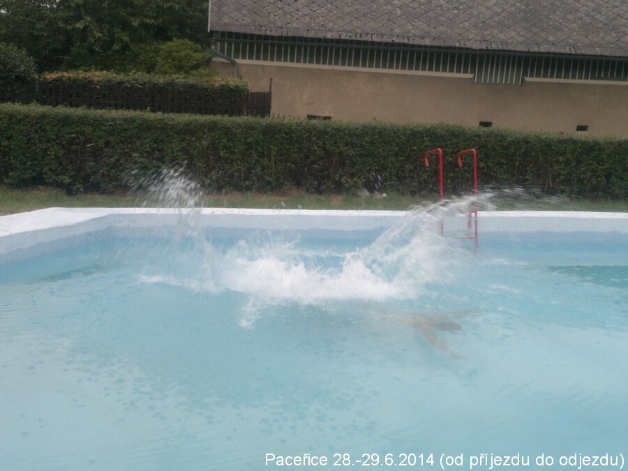 sou pacerice-II 2014