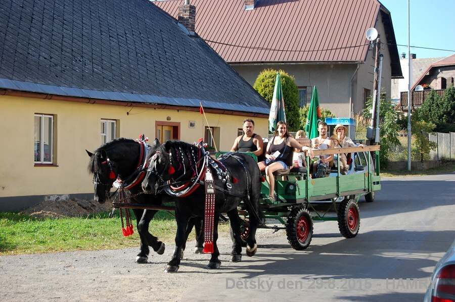 Sdh detsky den 2015