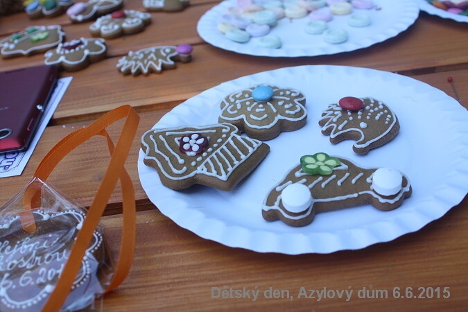 Sdh detsky den Azyl