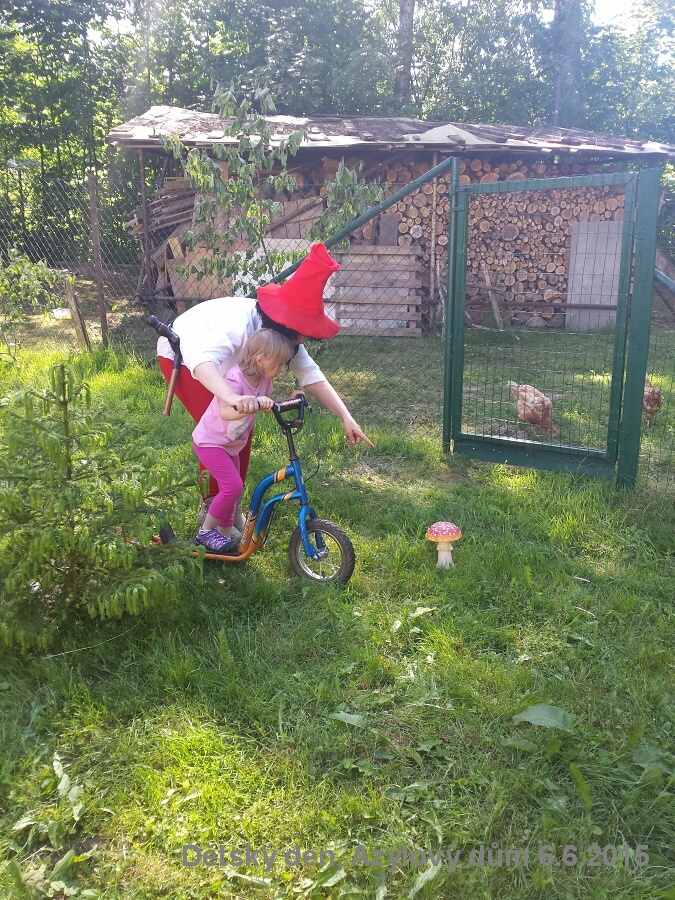Sdh detsky den Azyl