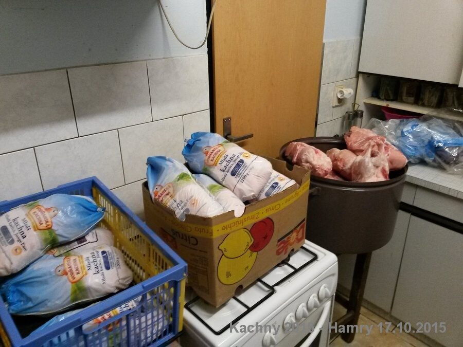 Sdh kachny 2015