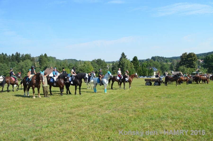 Sdh konsky den 2015