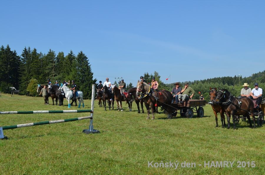 Sdh konsky den 2015