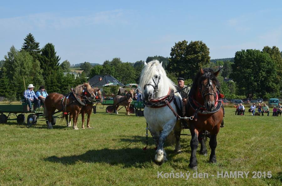Sdh konsky den 2015