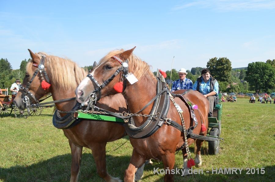 Sdh konsky den 2015