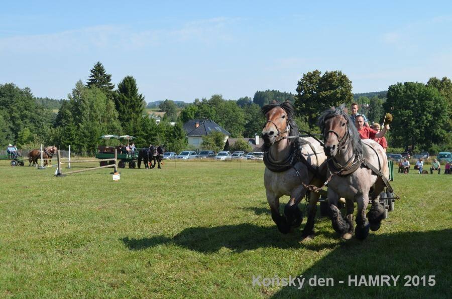 Sdh konsky den 2015