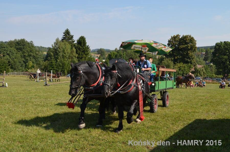 Sdh konsky den 2015
