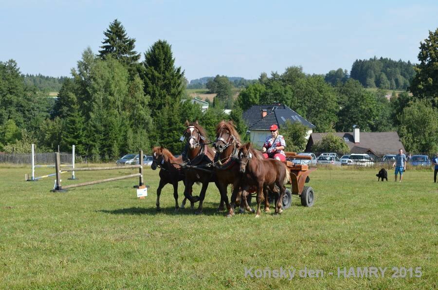 Sdh konsky den 2015