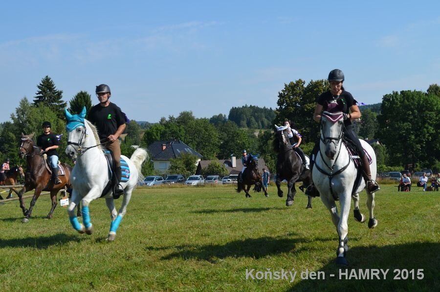 Sdh konsky den 2015