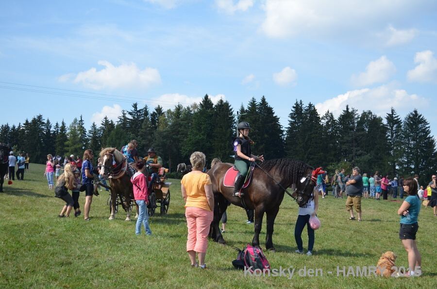 Sdh konsky den 2015