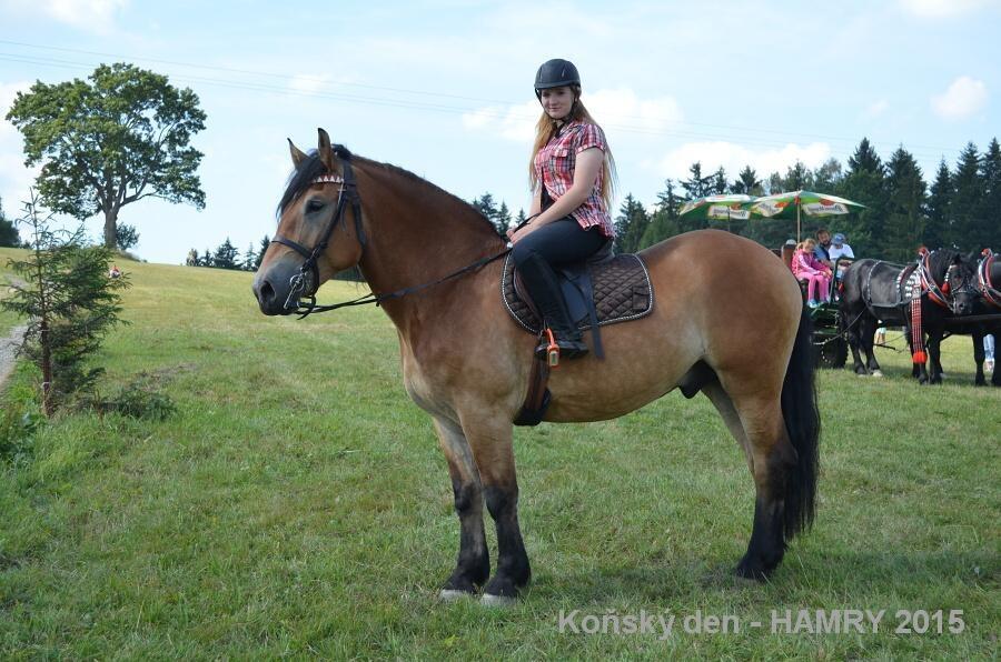 Sdh konsky den 2015