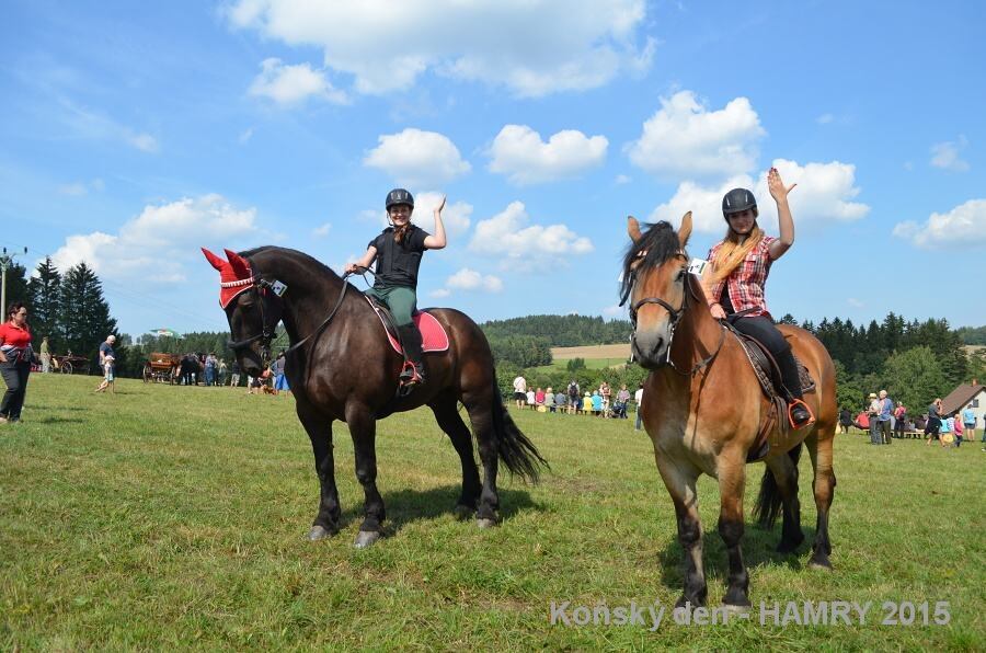 Sdh konsky den 2015