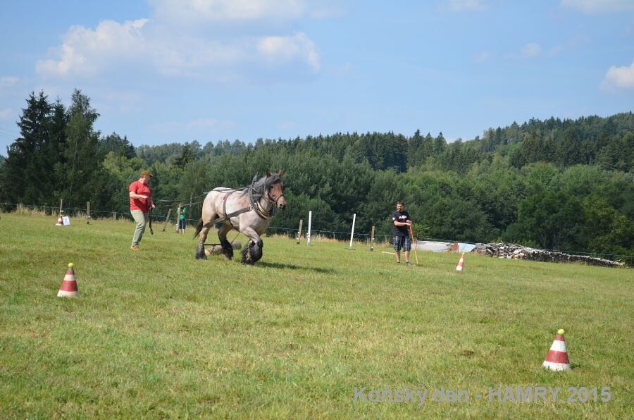 Sdh konsky den 2015