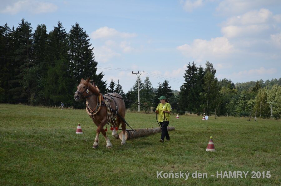 Sdh konsky den 2015