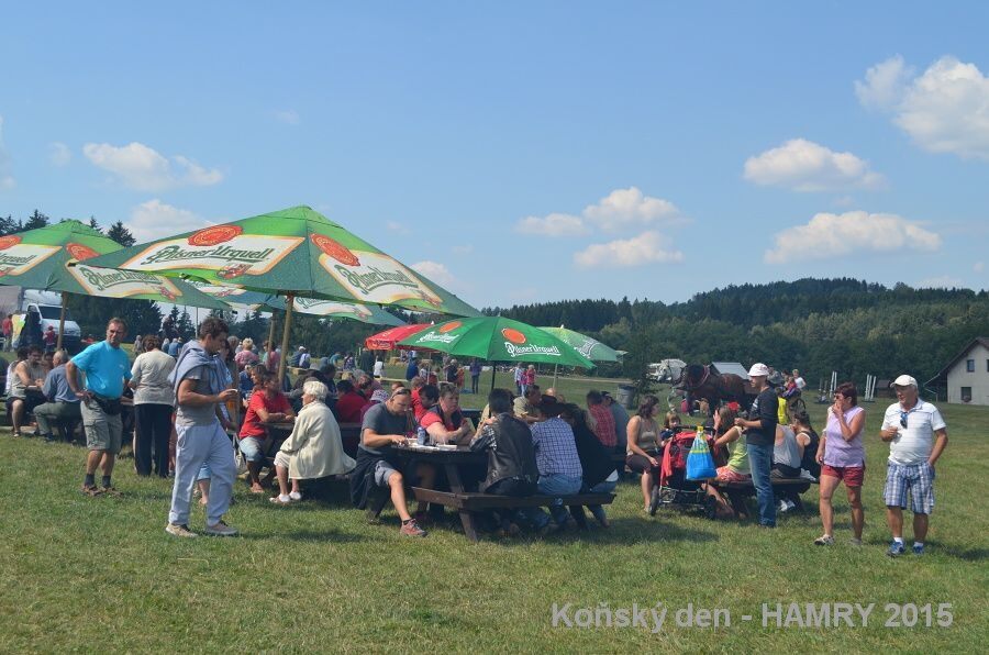 Sdh konsky den 2015