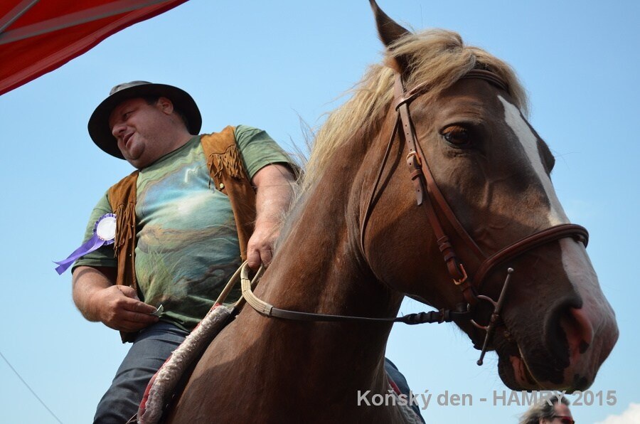 Sdh konsky den 2015