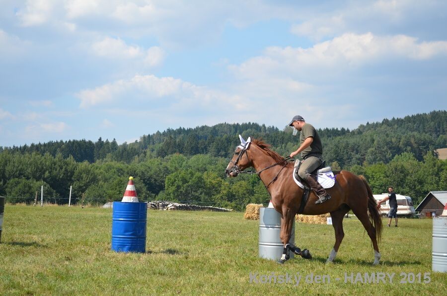 Sdh konsky den 2015
