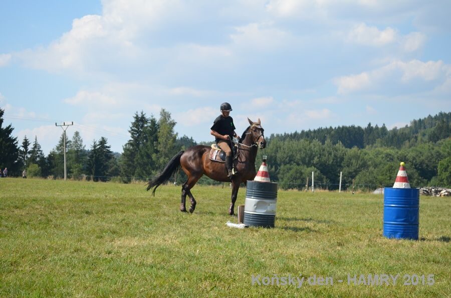 Sdh konsky den 2015