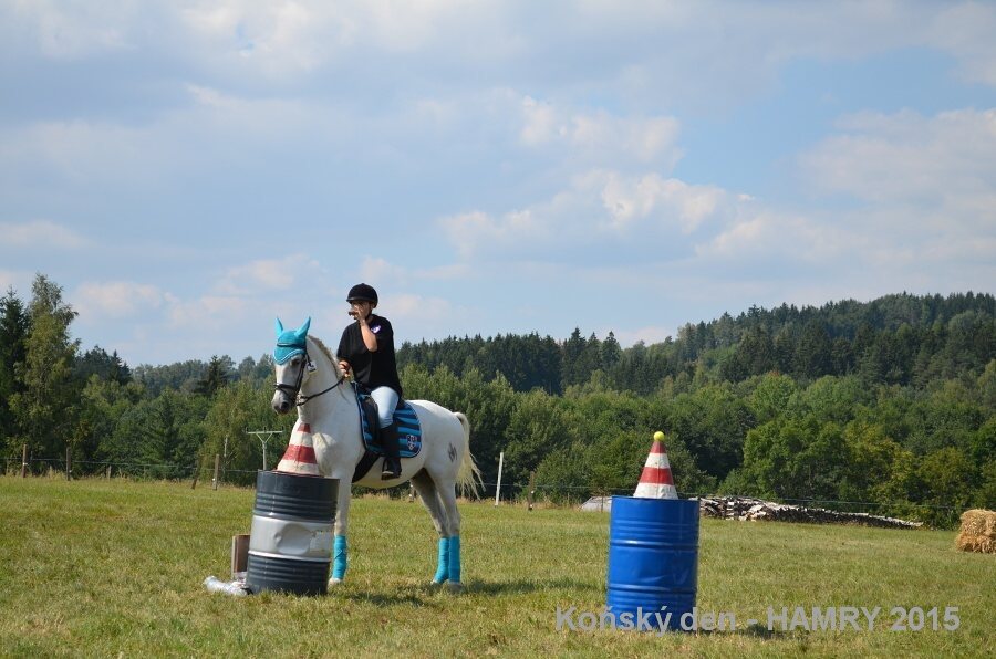 Sdh konsky den 2015