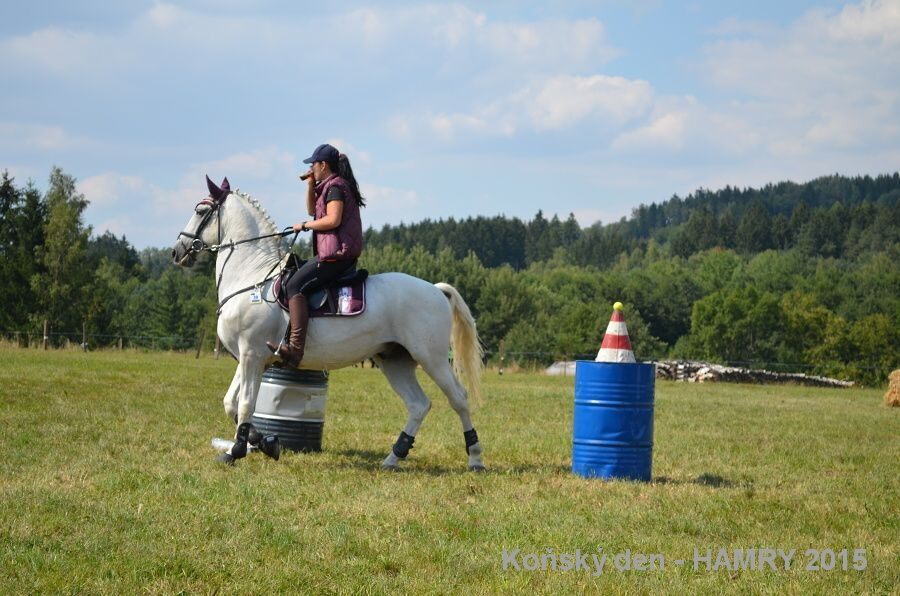 Sdh konsky den 2015