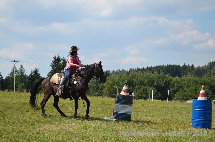 Sdh konsky den 2015