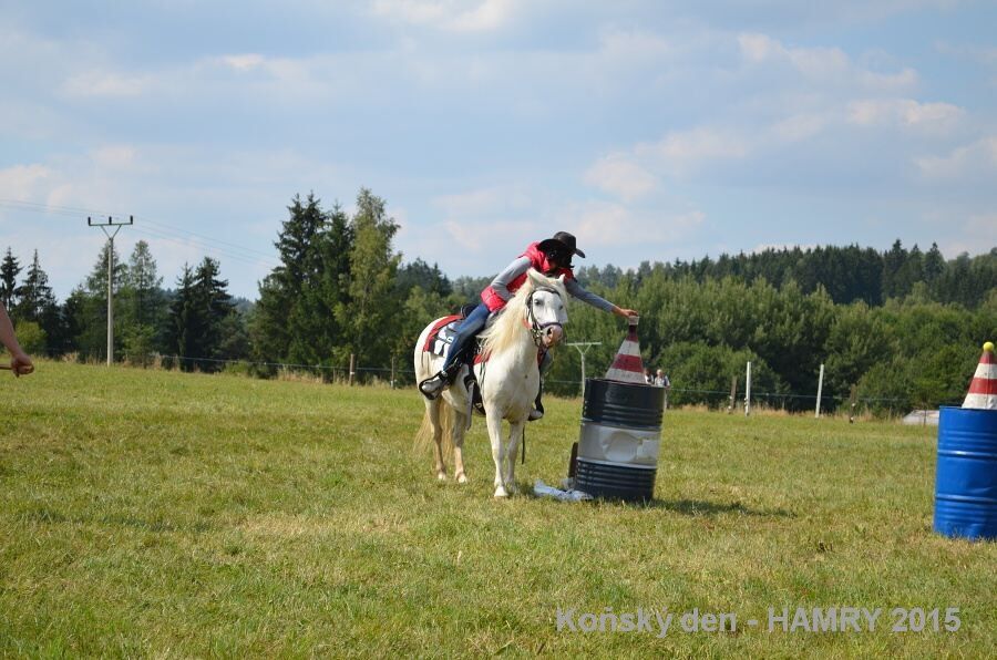 Sdh konsky den 2015