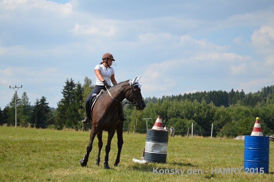 Sdh konsky den 2015