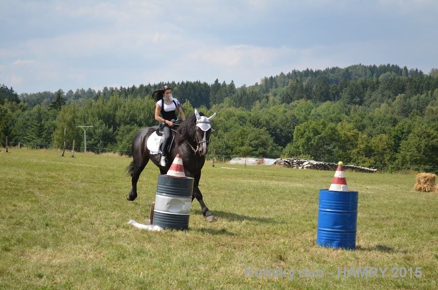 Sdh konsky den 2015