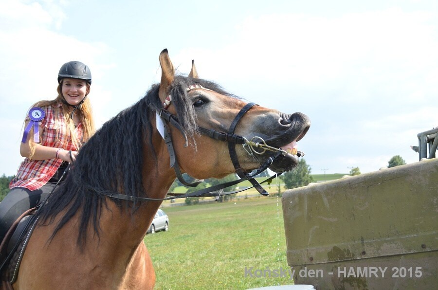 Sdh konsky den 2015