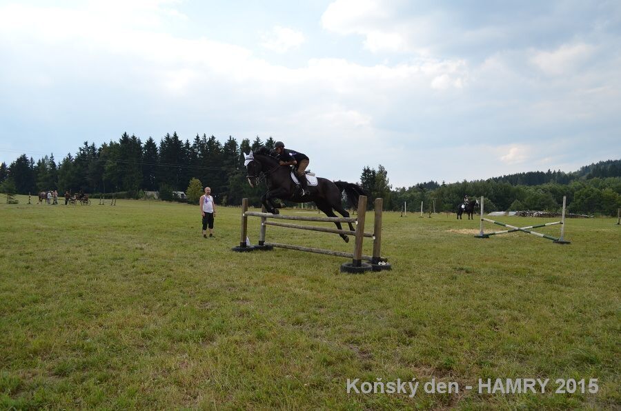 Sdh konsky den 2015