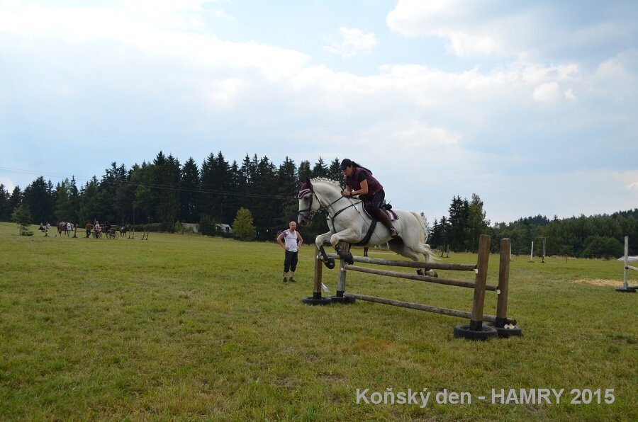 Sdh konsky den 2015