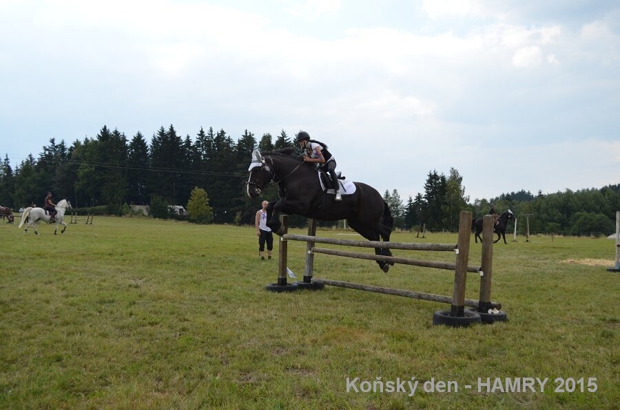 Sdh konsky den 2015