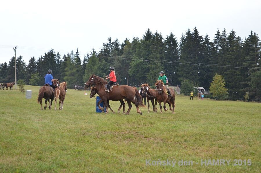 Sdh konsky den 2015