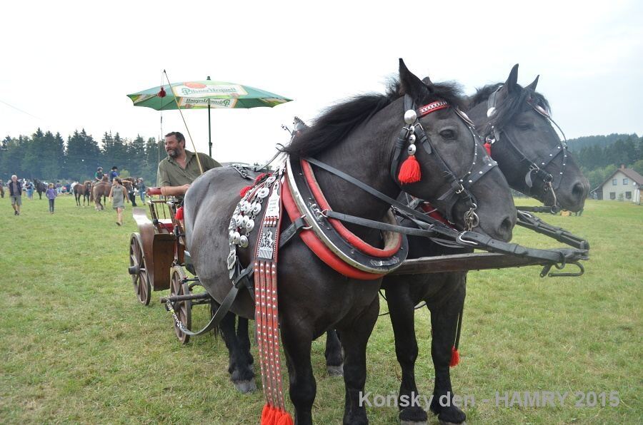 Sdh konsky den 2015