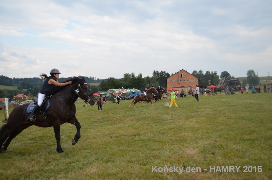 Sdh konsky den 2015