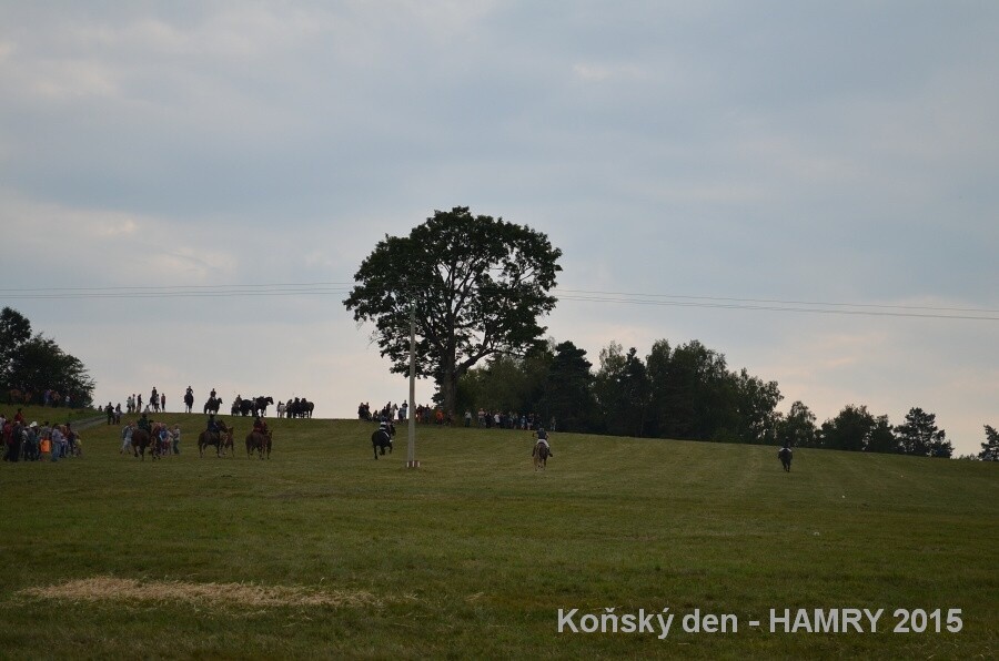 Sdh konsky den 2015