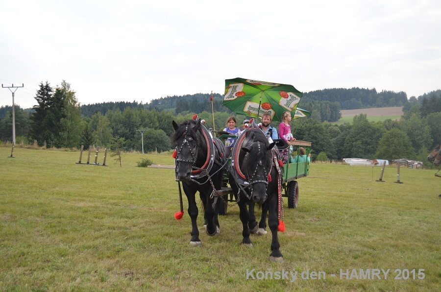 Sdh konsky den 2015