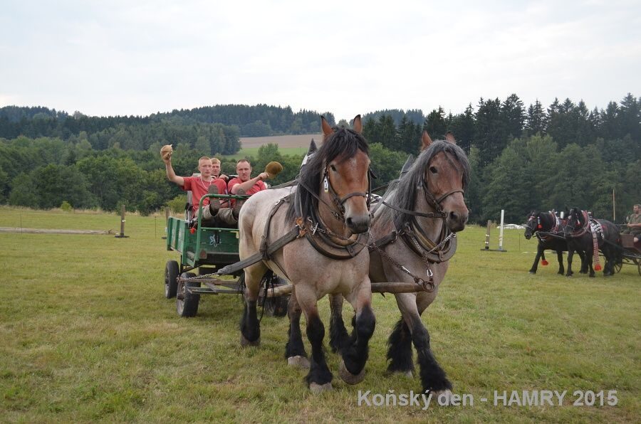 Sdh konsky den 2015