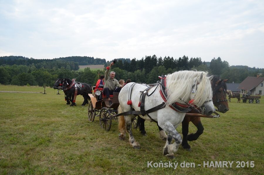 Sdh konsky den 2015
