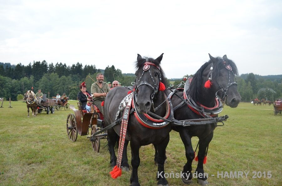 Sdh konsky den 2015