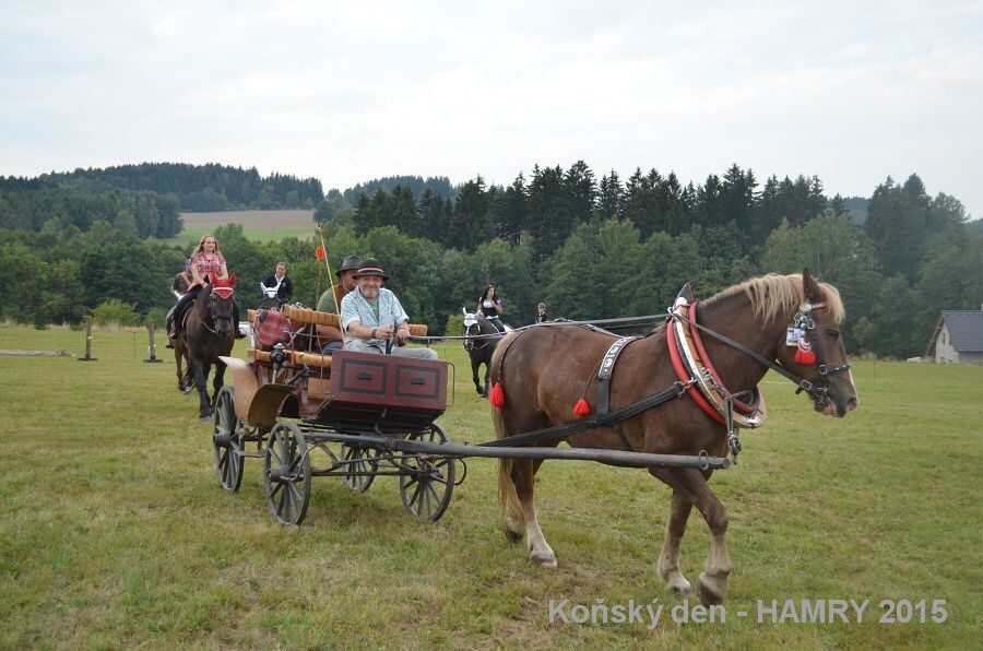 Sdh konsky den 2015
