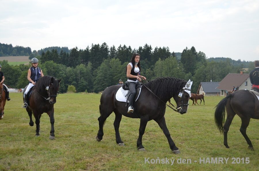 Sdh konsky den 2015