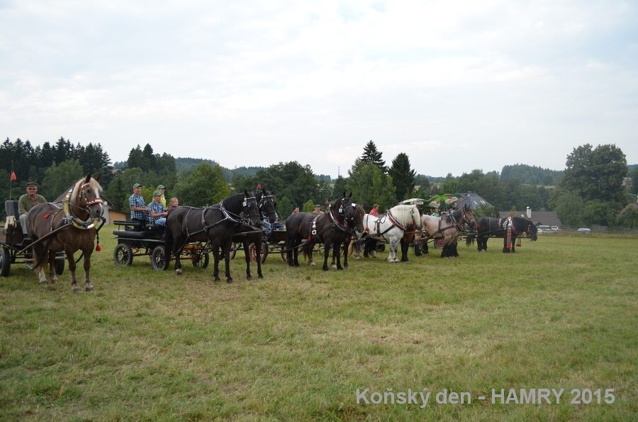 Sdh konsky den 2015