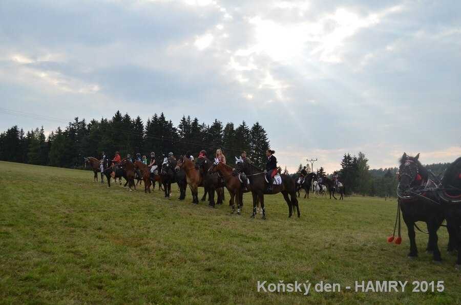 Sdh konsky den 2015