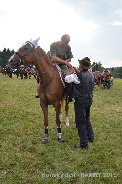 Sdh konsky den 2015