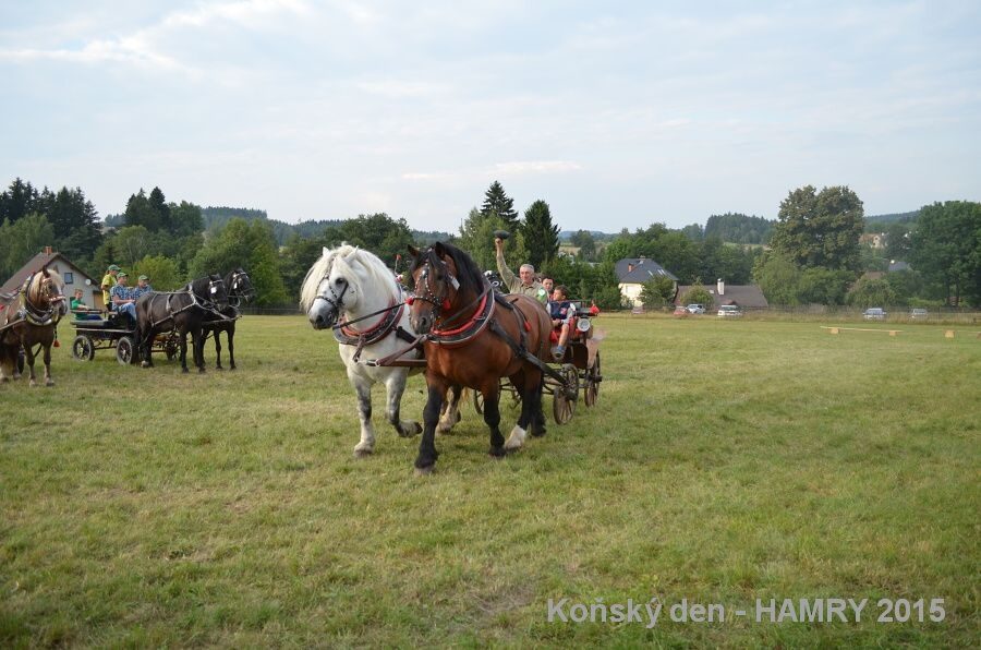 Sdh konsky den 2015